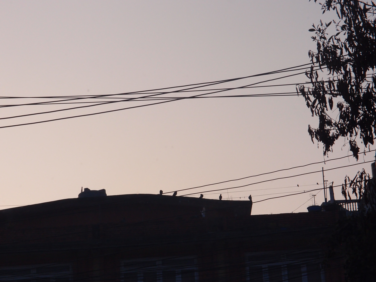 2018-01-22 10 Uhr - Boudha Walk (Foto) 